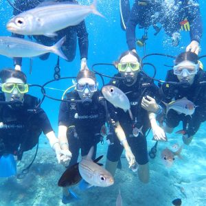 Alternative view of Alanya Diving Center | CMAS 1* DALICI KURSU