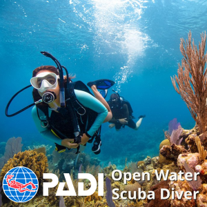padi open water