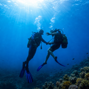 Nautilus Diving Center Marmaris | Dalış Programı