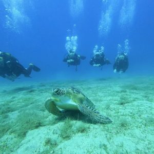 Alternative view of Antalya Taurus Diving Center | Cmas 1★ Dalıcı Kursu